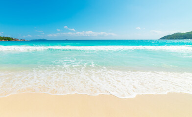 Fototapeta na wymiar Sunny day in a tropical beach with golden sand