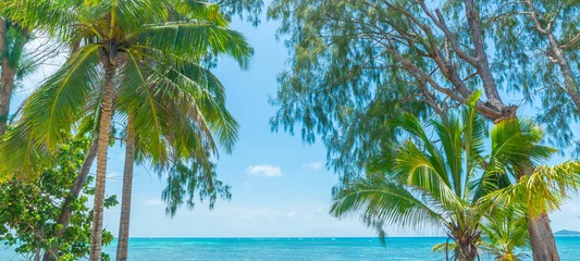 Crédence de cuisine en verre imprimé Anse Source D'Agent, île de La Digue, Seychelles Palm trees and turquoise water in a tropical island