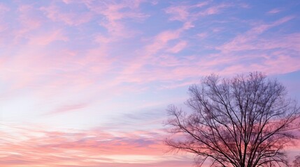 Fototapeta na wymiar daybreak early morning sky