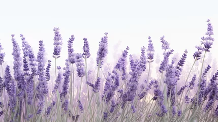 Rolgordijnen scent lavender palette flowers © PikePicture