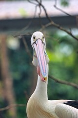Port Douglas, Queensland, Australia