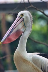 Port Douglas, Queensland, Australia