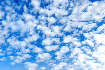 Mackerel Clouds (Altocumulus) - obrazy, fototapety, plakaty