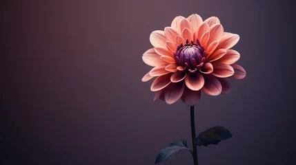 Rolgordijnen vintage retro flower © PikePicture