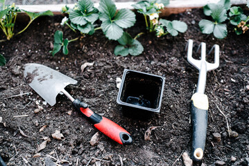 Trowel, three-claw rake, black plastic 4 inches nursery pot gardening tools, plant strawberry...