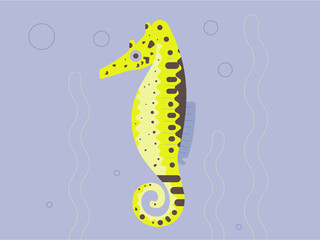 Number 1 - Sea horse