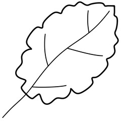 Doodle line art of summer season, leaf flowers swimsuit, mushroom 