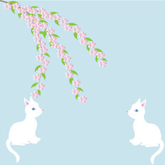 Two white cats are sitting and looking at a cherry blossom on a blue background. Cats are waiting for spring. The concept of Easter, family, love