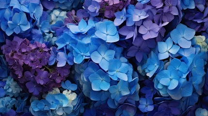 Schilderijen op glas garden blue purple flowers © PikePicture