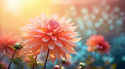 Foto op Plexiglas spring flower flyer © PikePicture