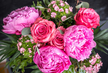 Close-up of flowers Pink peonies