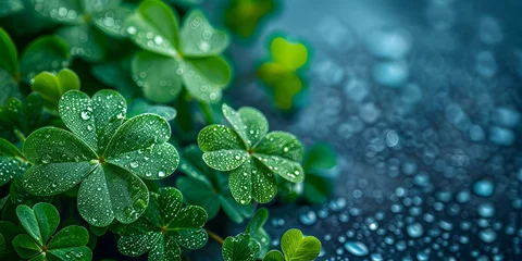 Fotobehang Vibrant green shamrocks symbolizing luck and St Patricks Day celebration. Concept St, Patrick's Day, Green Shamrocks, Celebration, Luck, Festive Symbols © Ян Заболотний
