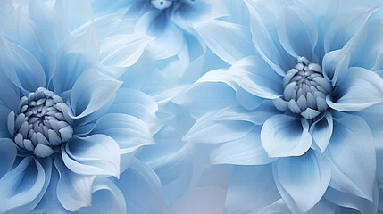 Rolgordijnen petals dusty blue flowers © PikePicture