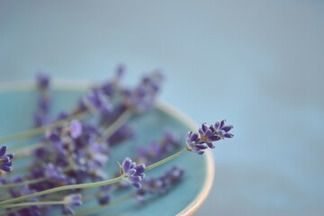 Natural lavender flowers on table, closeup. Cosmetic product