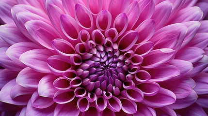 Foto auf Acrylglas bouquet purple pink flower © PikePicture