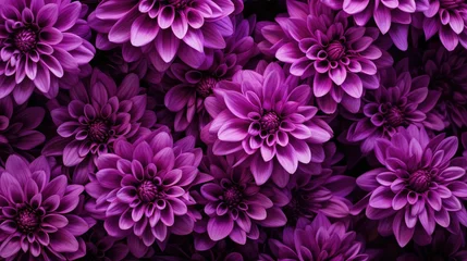 Foto op Canvas violet purple flower background © PikePicture