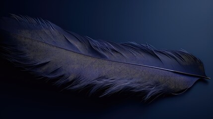 elegant navy feathers