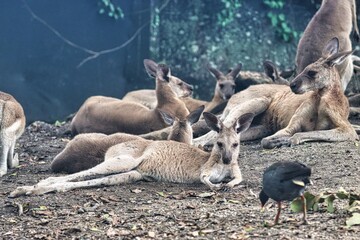 Port Douglas, Queensland, Australia