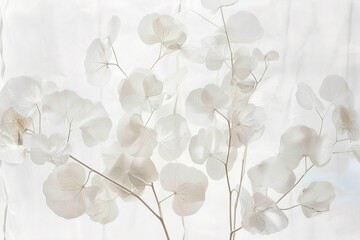 A vase filled with white flowers on top of a table. Barely there florals on white background. White lunaria flowers