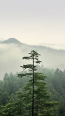 Schilderijen op glas Vertically aligned Beautiful foggy mountain range landscape with pine forest covered with mist and birds flying around © Sudarshana