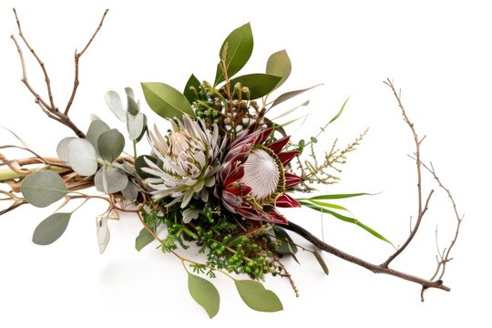 Rustic bouquet, design with Proteas, succulents, bird of paradise plant and dry twigs for a desert-inspired arrangement, isolated white background.