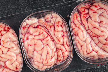 pork brains raw edible offal meat fresh food tasty eating cooking meal food snack on the table copy...