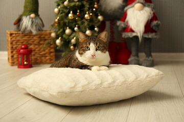 Cute cat lying on soft pillow near Christmas decor at home. Adorable pet