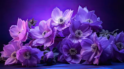 Foto op Canvas lavender purple flowers isolated © PikePicture
