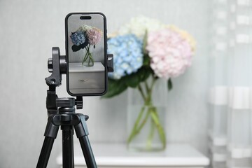 Taking photo of beautiful hydrangea flowers with smartphone indoors, selective focus