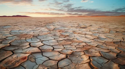 Rolgordijnen drought dry lake © PikePicture