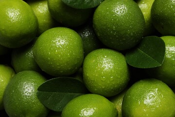 Fresh ripe limes and leaves with water drops as background, top view