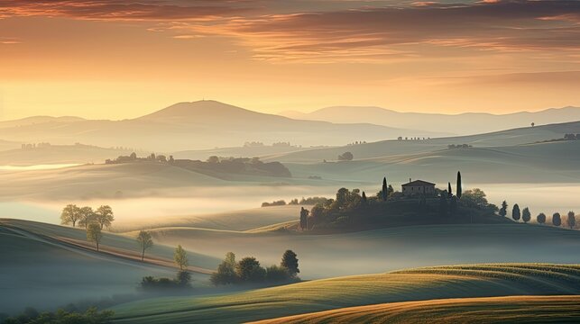 awakening beautiful morning