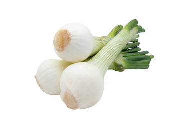 Front view of three raw cambray onions isolated on a cutout PNG transparent background 