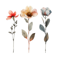 Trio of Elegant Watercolor Botanical Illustrations Featuring Blossoming Flowers