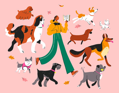 Dog Walking Illustration Pack