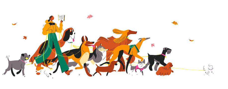 Walking Dogs Illustration - Invisible Background