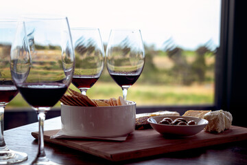 Three glasses of red wine and platter of antipasto with cheese, crackers and olives  on wooden table with vineyard  background 