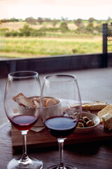 Two glasses of red wine and platter of antipasto with cheese, crackers and olives  on wooden table with vineyard  background 