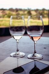 Glass of white wine and glass of rosé wine reflected on the surface of a cell phone on wooden table with vineyards as a background and landscape. Relaxed situation. 