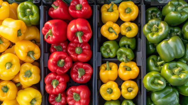 Colorful mix of fresh green, red, and yellow bell peppers for a vibrant vegetable backdrop.