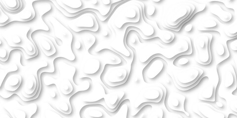 3d render, abstract white paper background. Paper cut vector art background banner texture. multi layer cutout geometric pattern on vector, Abstract soft white background with waves.	