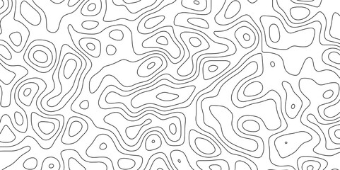 abstract white wave paper curved reliefs background. Topography map pattern, Geographic curved, vector illustration. seamless textrue, vintage waves. Panorama view multicolor wave curve line. - obrazy, fototapety, plakaty