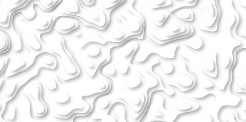 3d render, abstract white paper background. Paper cut vector art background banner texture. multi layer cutout geometric pattern on vector, Abstract soft white background with waves.	