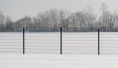 Metal fence in winter in the park.
