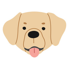 Obraz premium Golden Retriever Head 1 cute on a white background, png illustration.