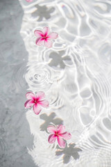 Small gentle flowers floating on the crystal clear watter with small ripples and light, purity and beauty concept.