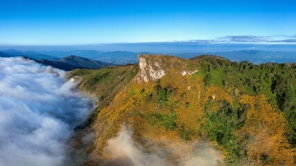 Aerial View Phu Chi Fa Mountains With Mexican Flower Chiang Rai Thailand