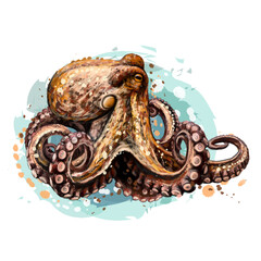 A color, graphic portrait of an octopus in watercolor style.