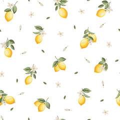 Seamless citrus pattern with lemons. Vector illustration. - 742852894