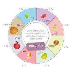 Circular infographic on the size of tumors and some foods associated with them to know their volume.

